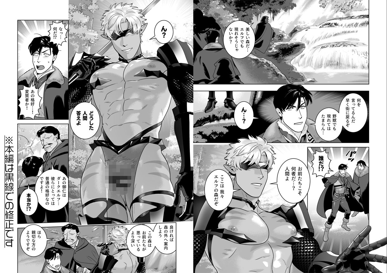 【ファンタジー】エロ鎧エルフ-イヌミソ|d_201005