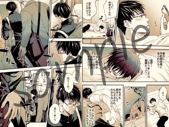 【BL（ボーイズラブ）】◯い頃に中年男に悪戯されたことによりレ〇プ願望を拗らせているゲイ傾向M学生が、痴●されてそのまま公衆トイレで…-アンノウン|d_266547