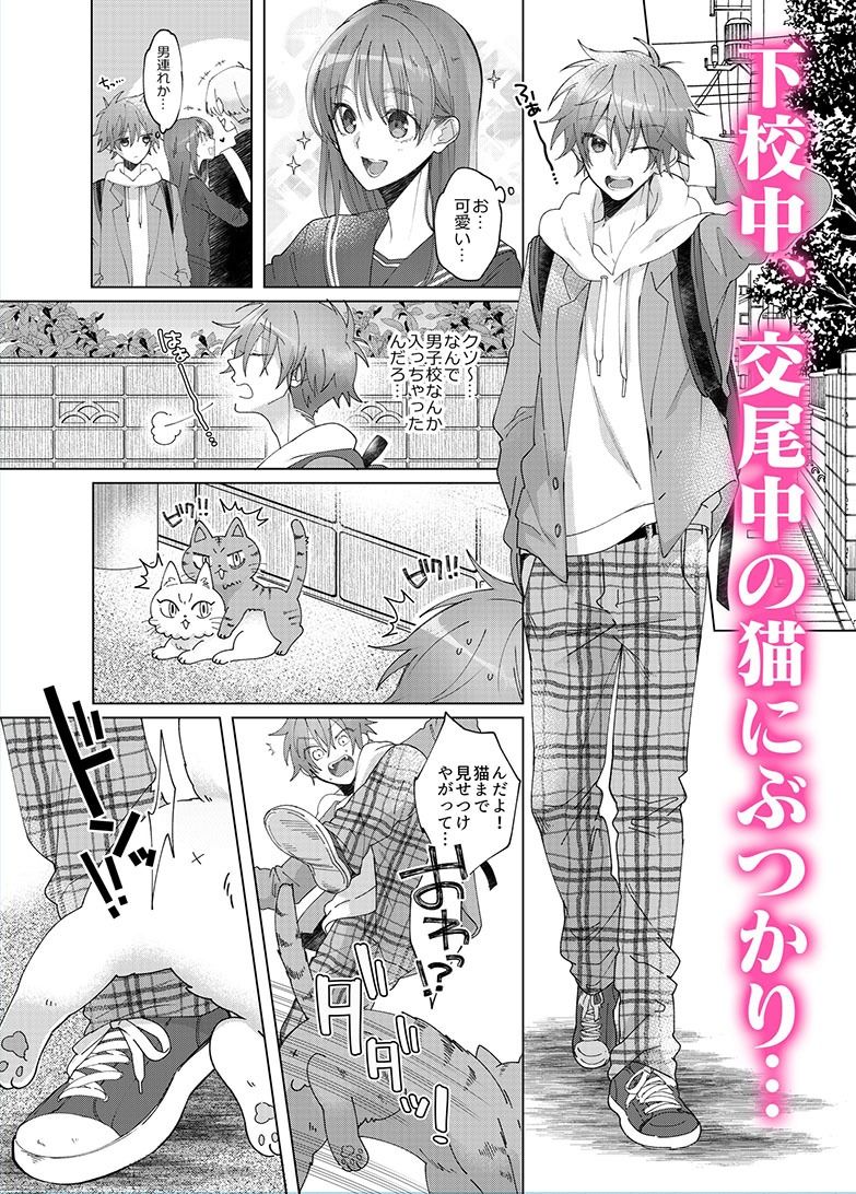 【BL（ボーイズラブ）】発情期の猫の病にかかった俺は男友達2人に中出しされないと治らないらしく…！？-えちち工房|d_319638