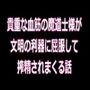 【辱め】貴重な血筋の魔道士様が、文明の利器に屈服して、搾精されまくる話-レーシィ＆Ruru管轄区|d_354578