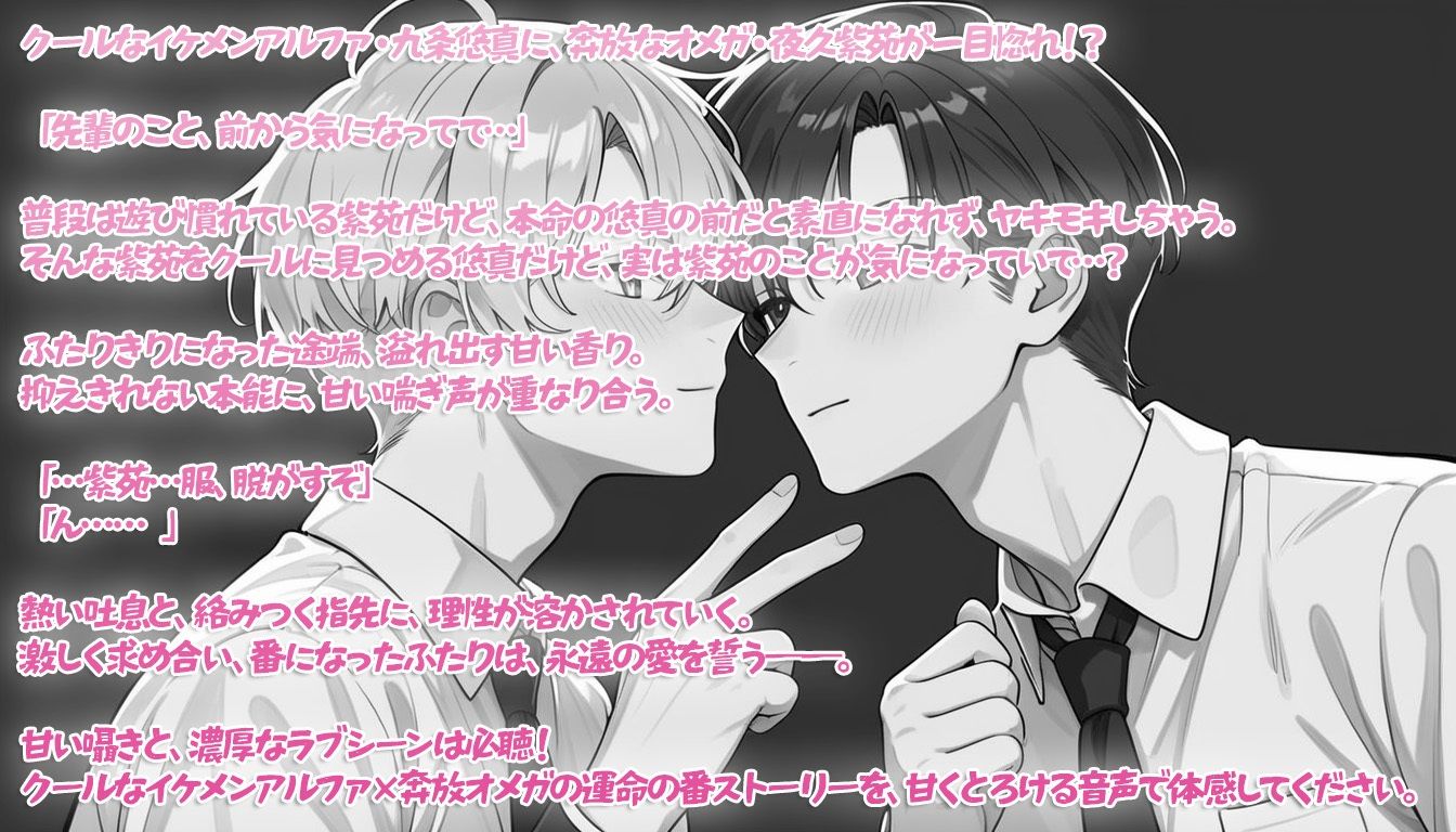 【BL（ボーイズラブ）】月夜の番 〜氷のアルファ、蝶のオメガ〜-音蜜サロン|d_455714