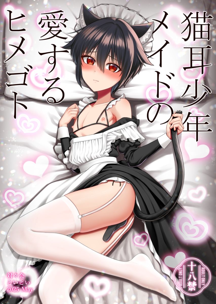 【羞恥】猫耳少年メイドの愛するヒメゴト-対々会|d_579536