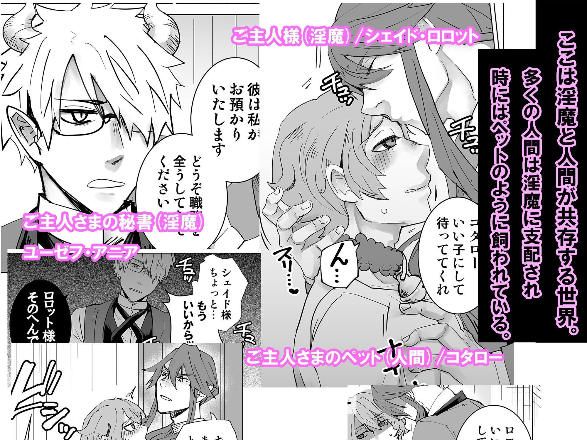 【ファンタジー】淫魔のペット 恩人のペットを魅了してしまいました-甘党たぬき|d_589726