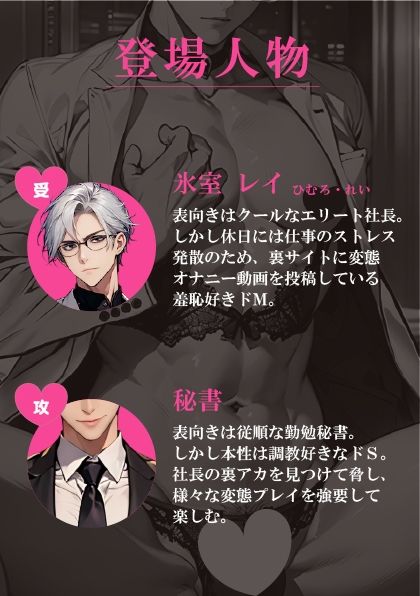 【BL（ボーイズラブ）】裏アカバレしたイケメンエリート社長、ドS秘書に脅されてプライド粉砕屈辱プレイ（はーと）-バニーベア|d_633894