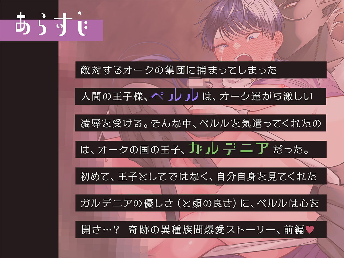 【ファンタジー】ボイスドラマ「オーク相手に淫紋なしでメス堕ちするわけないだろ！前編」-アモラスレコード|d_644925