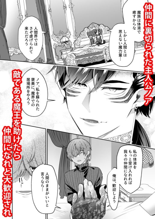 【ファンタジー】嫌われ魔術師は魔王のお気に入り-shy|d_671711