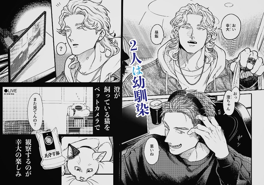 【BL（ボーイズラブ）】出来心で幼馴染の部屋を覗いてしまった話-エルド★ドラド|d_673850